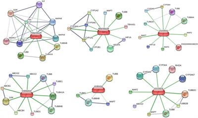 Comprehensive analysis to identify the neurotransmitter receptor-related genes as prognostic and therapeutic biomarkers in hepatocellular carcinoma